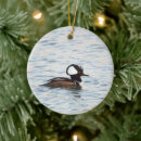Search for merganser duck Animals