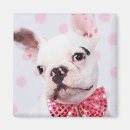 Recherche de cravates magnets Animaux