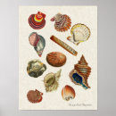 Recherche de haute résolution posters Vintage