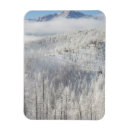 Search for winter frost cards Hoarfrost