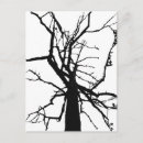 Search for abstract tree postcards Botanical