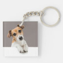 Search for jack russell keychains Puppy