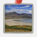 Search for antelope ornaments Nature