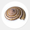 Search for treasurer stickers Seashells