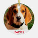 Search for beagle ornaments Cute