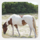Search for assateague island stickers Beach