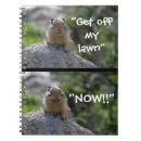Search for shout Humour