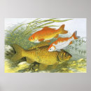 Search for vintage sea life posters Fishing
