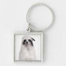 Search for chinese crested keychains Vertical