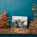 Recherche de vaches plaques Pour tous