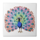 Search for peacock tiles Feathers
