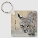Search for bobcat keychains Feline