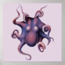 Search for octopus art Marine