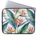 Search for stained glass cases Landscape