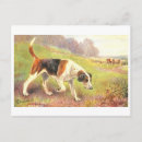 Search for fox vintage postcards Antique