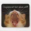 Recherche de grands chats tapis souris Chatte