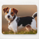 Recherche de jack russel tapis souris Chien