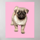 Search for pug decor Adorable