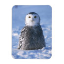 Search for home office cards Cute