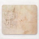 Search for michelangelo electronics Muscular