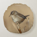 Search for marsh pillows Bird