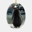 Search for penguins ornaments Snow