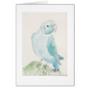 Search for indian ringneck parakeet Parakeets