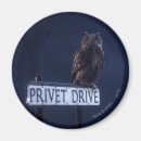 Search for sorcerer magnets Harry potter