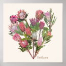 Search for protea posters Watercolor