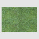 Search for green grass tissue paper Lawn