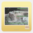 Search for never again stickers I can has cheezburger