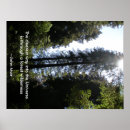 Search for redwood posters California