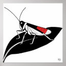 Search for locust art Insect