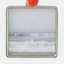 Search for storm ornaments Environment