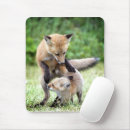 Search for kits mousepads Animals in the wild