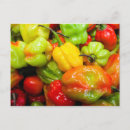 Search for chilli pepper postcards Peppers