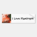 Search for feathers bumper stickers Animals