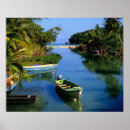 Search for jamaica posters Palm tree