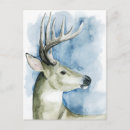 Search for wander postcards Watercolor