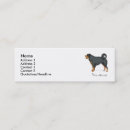 Recherche de mini mastiff Chien