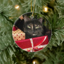 Search for tortoiseshell cat ornaments Kitty