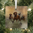 Search for hungarian ornaments Vizsla