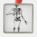 Search for skeleton ornaments Anatomy