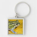 Recherche de spadefoot Amphibie