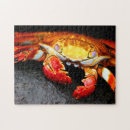 Recherche de crabe puzzles Crustacés