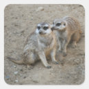 Search for african mammals stickers Cute