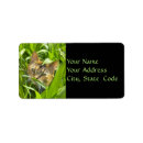 Search for jungle return address labels Cat