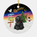 Search for spaniel ornaments Pets