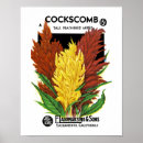 Recherche de coq vintage posters Floral