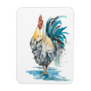 Recherche de rooster magnets Animaux
